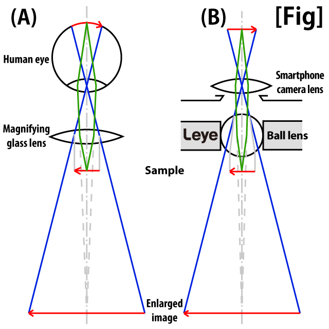 Extended principle of L-eye