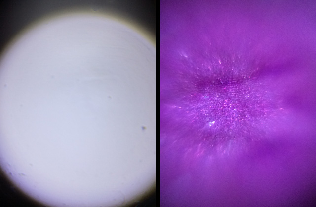 2. Tabletop spotlight : an image for no samples(left) / an image for some samples(right)