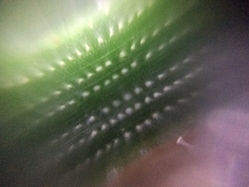 observing the non-transparent samples from the side