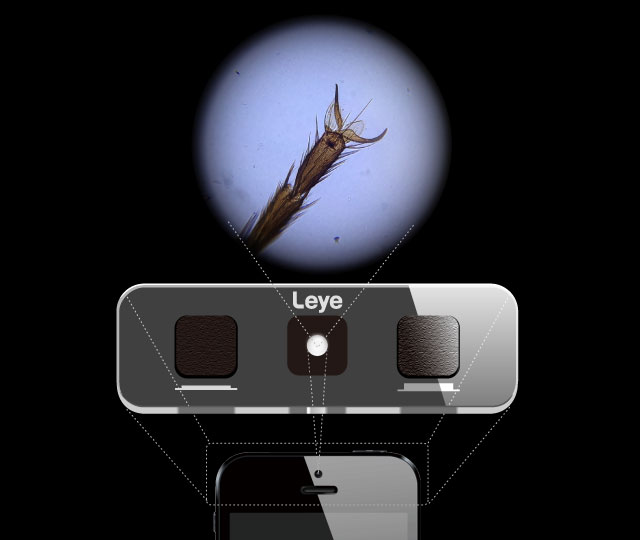 The microscope has been revived continuously evolving a period of 350 years.
