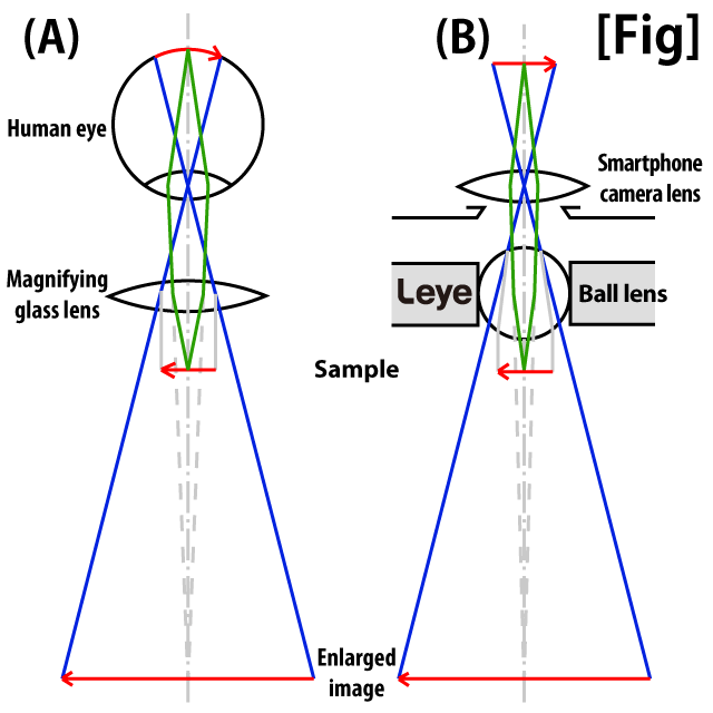 Leye の拡大原理